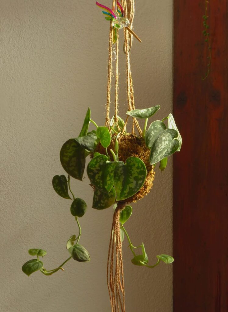 小型公寓翻新设计项目丨意大利罗马-9