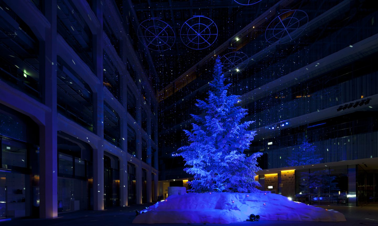 WHITE KITTE  Suppose Design-9