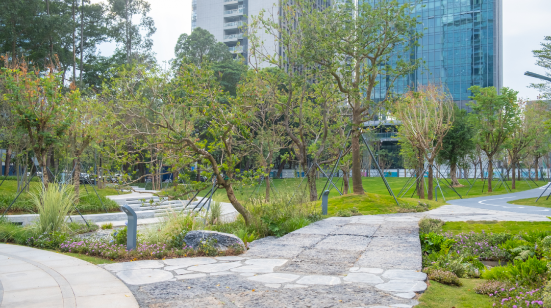 智见 · 云上 | 云之园 CLOUD PARK-159