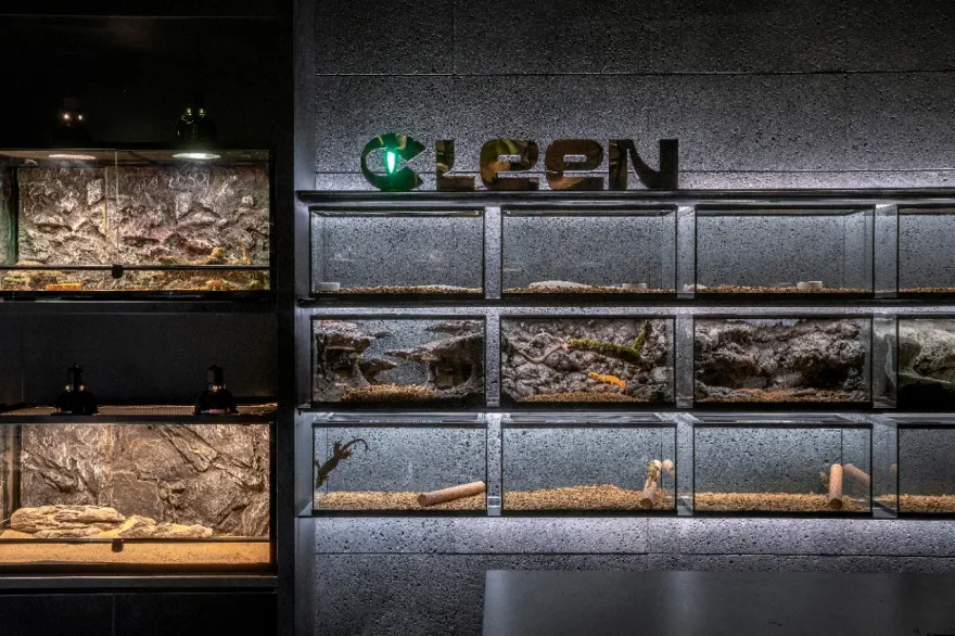 鳞动|其鳞· 爬宠体验店丨谢几点设计事务所(中国•广州)-30