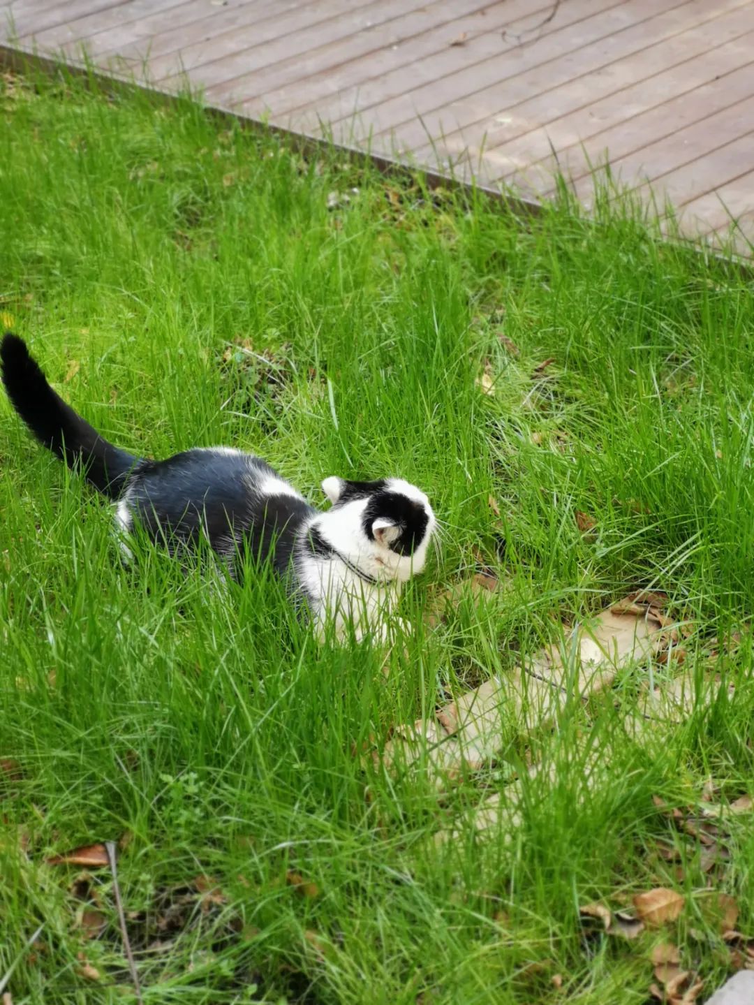 范斯沃斯住宅丨中国杭州丨穆汖-66