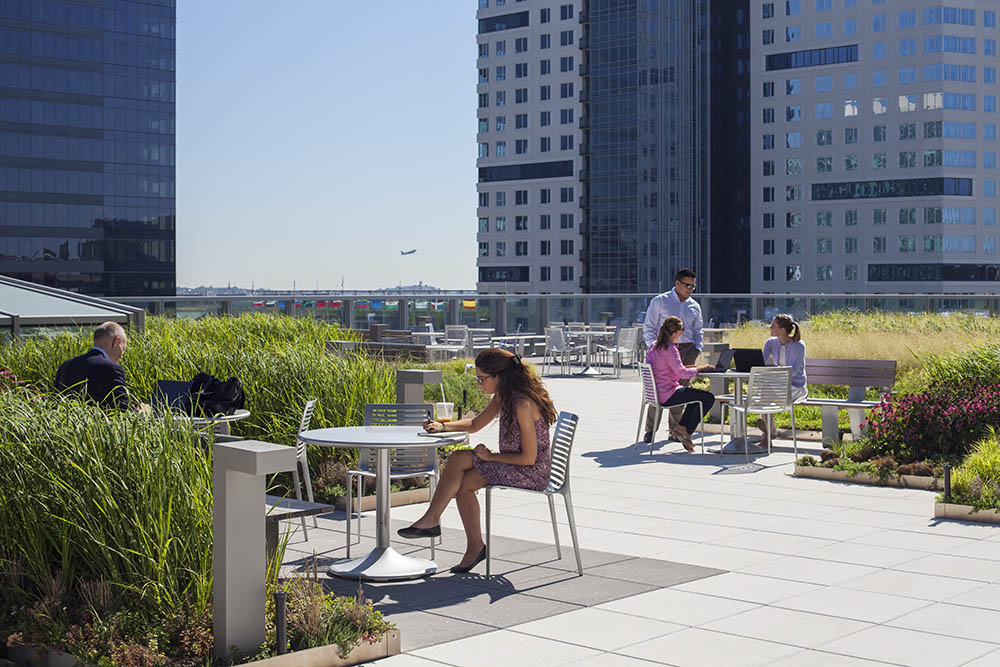 波士顿海港广场绿色屋顶花园丨美国波士顿丨Copley Wolff 设计集团-4