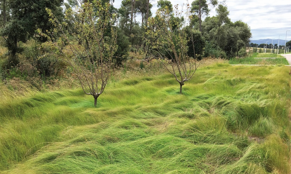 融合农田景观的 Mango 物流中心-21