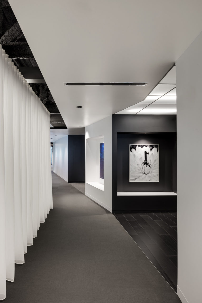 Flexible and brand new Intarcia Offices created by ACTWO to take advantage of light and highlight art in the workplace 由AC2创建的灵活且全新的INARCIA办公室，利用灯光和突出艺术在工作场所中的优势-23