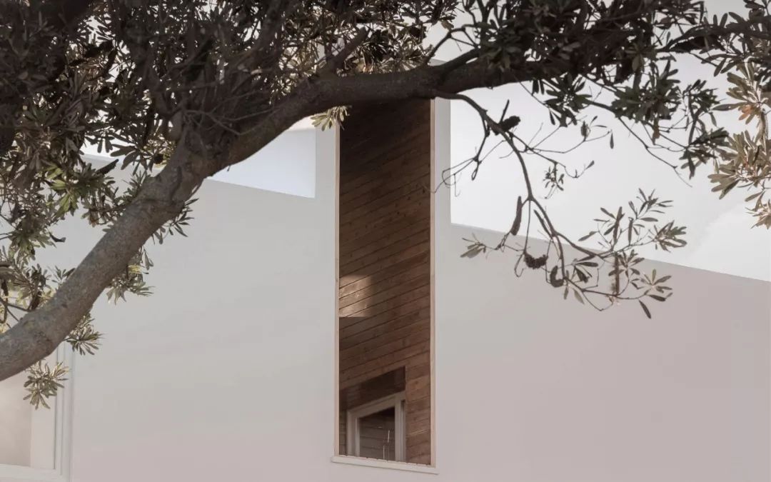 定制建筑体验，SAL Architecture Studio 打造亚速尔风情-32