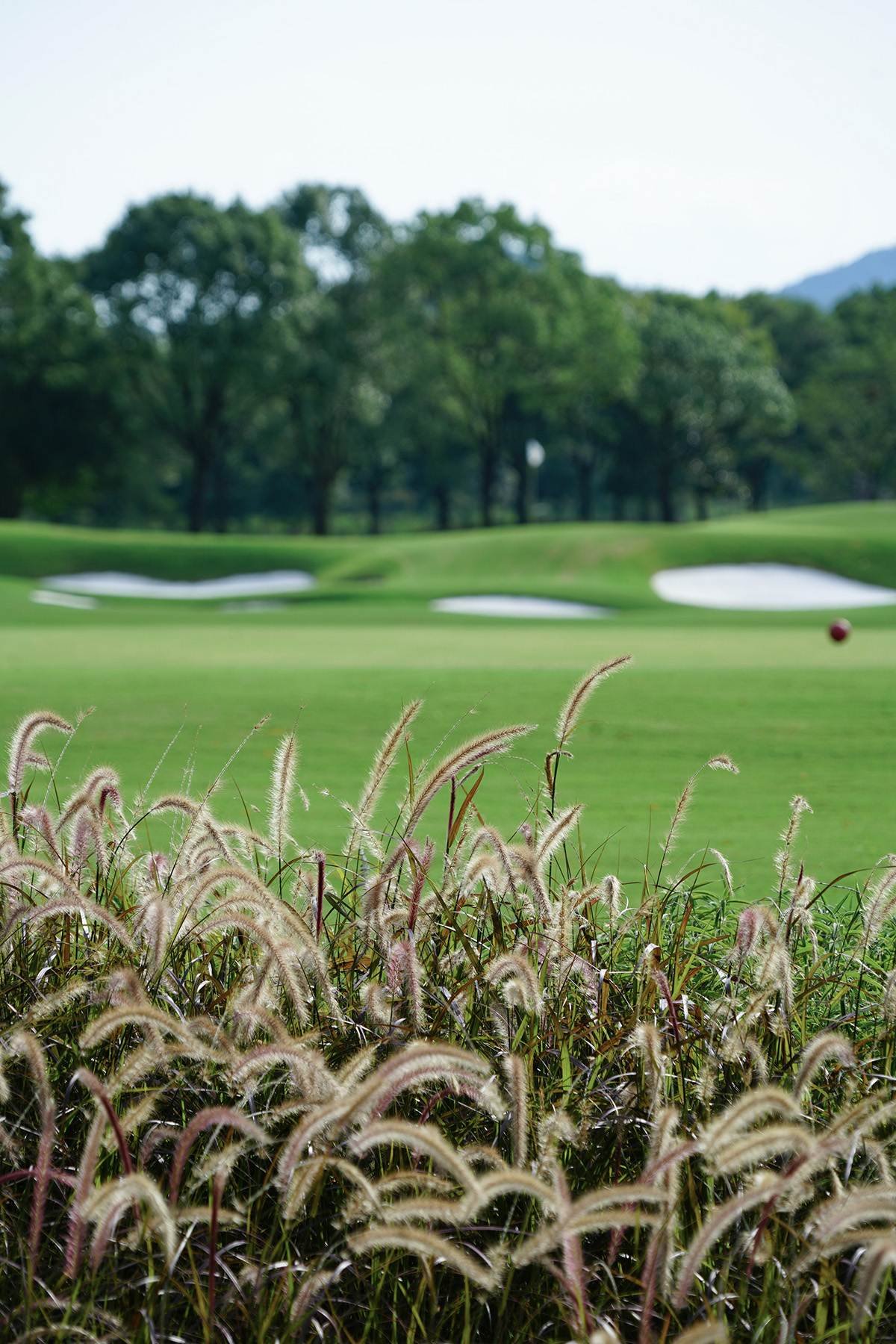 西湖高尔夫丨中国杭州丨NCD Studio 玖鹿设计-84