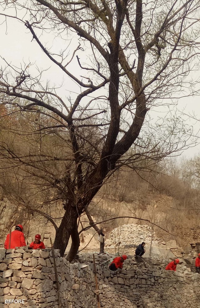 山东泰山东溪门村复兴项目 · 百年乡村的针灸式建筑更新-69