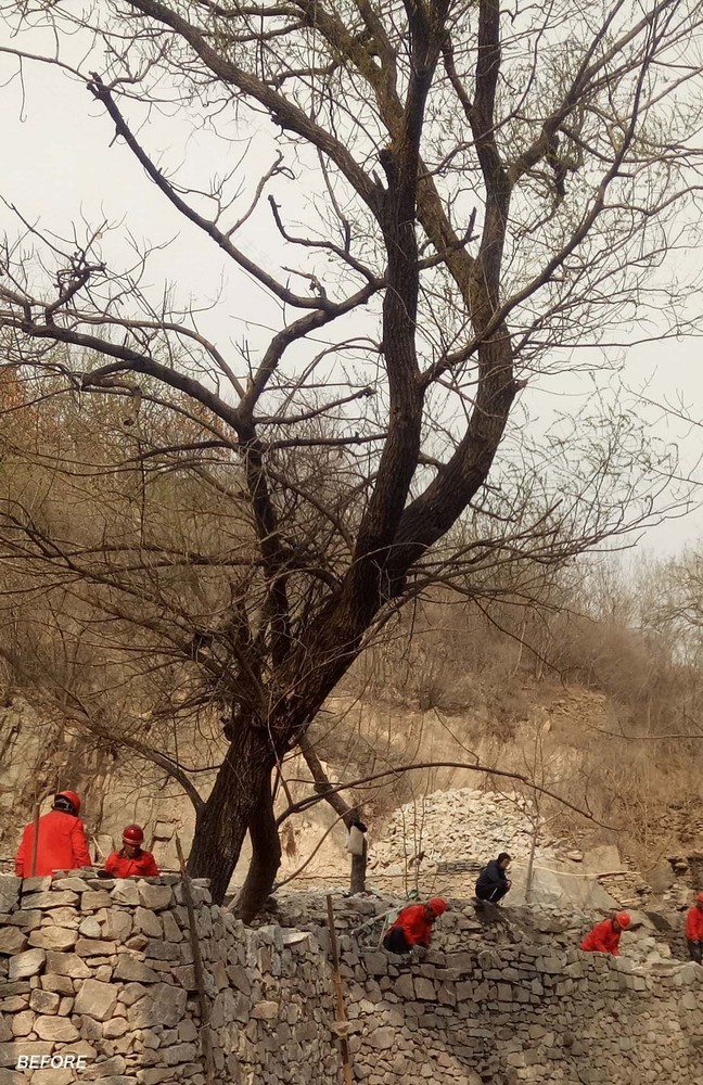 山东泰山东溪门村复兴项目 · 百年乡村的针灸式建筑更新-69