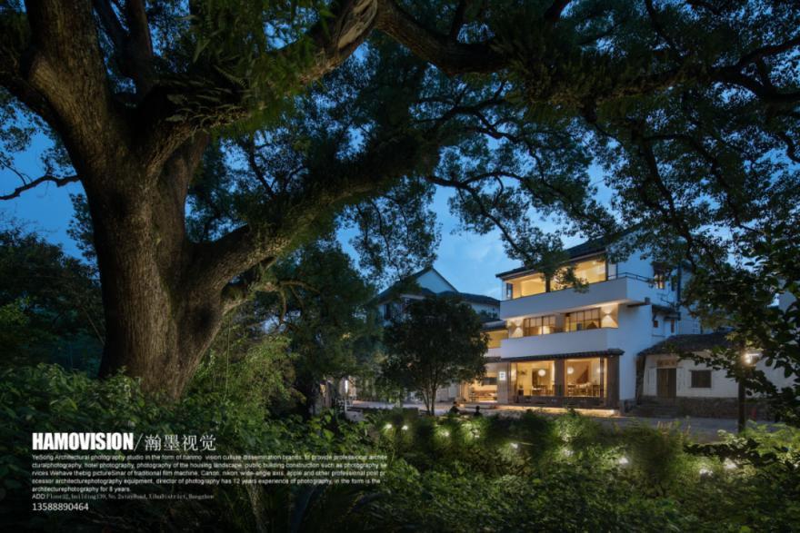 千年樟树下的茶室 · 沈墨设计的古堰画乡茶空间丨中国丽水丨杭州时上建筑空间设计事务所-106