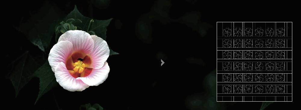 武汉SKP · 上河川｜融合与延续，跨越时光的川菜百味-12