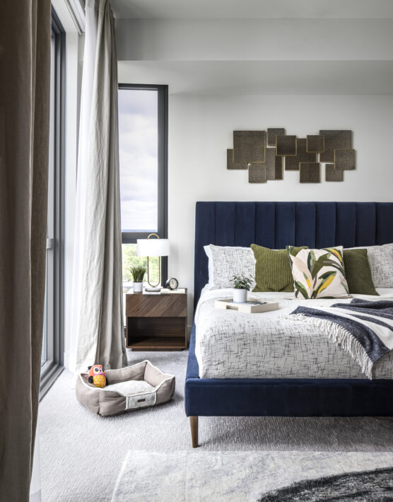 丨美国达拉斯-3