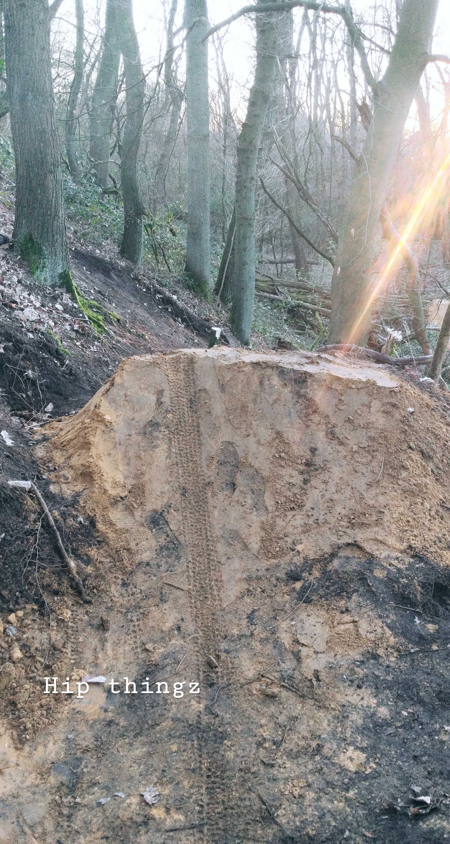无处跳跃丨作者及其朋友-2