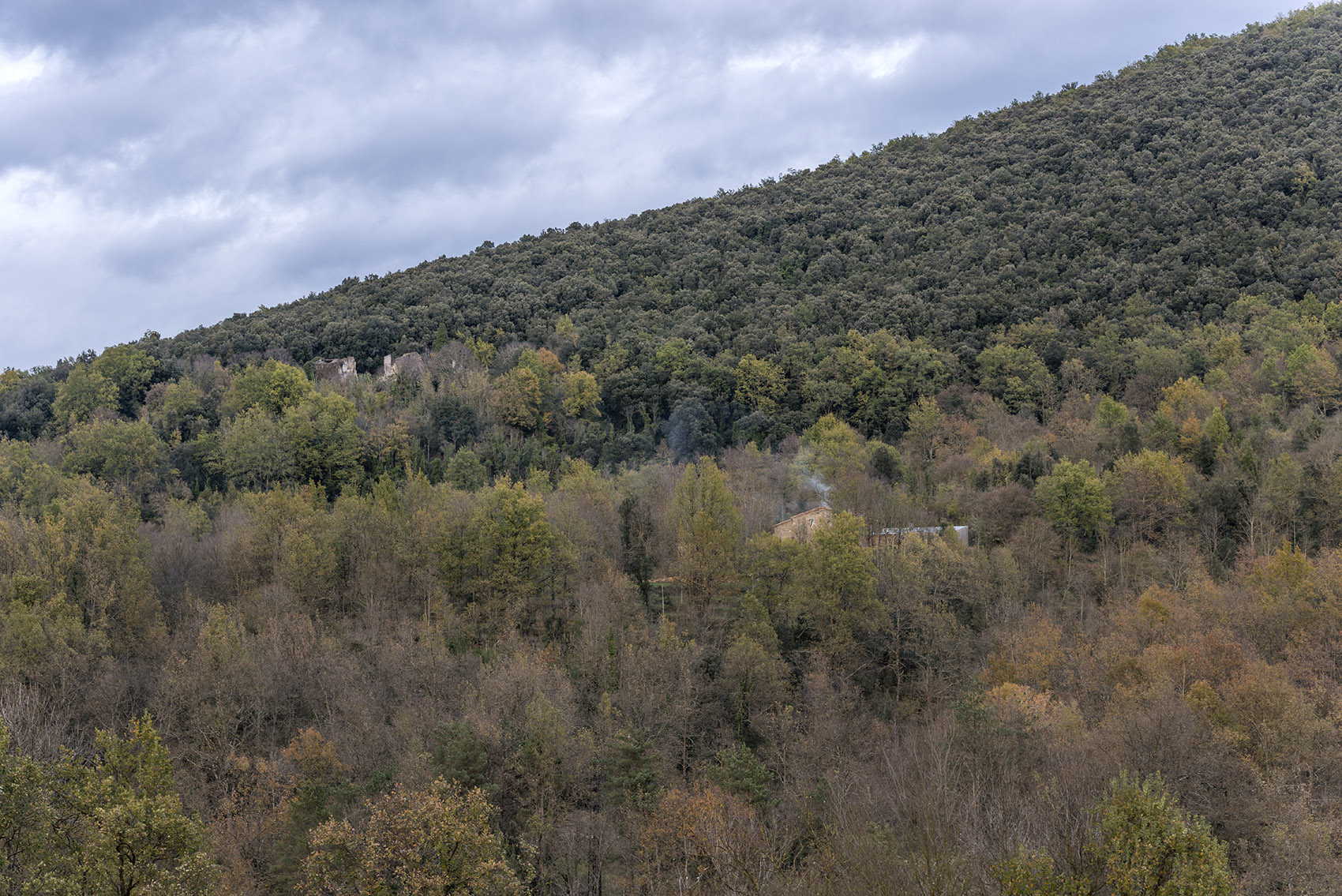 山林农场住宅，西班牙 / Montserrat Nogués-4