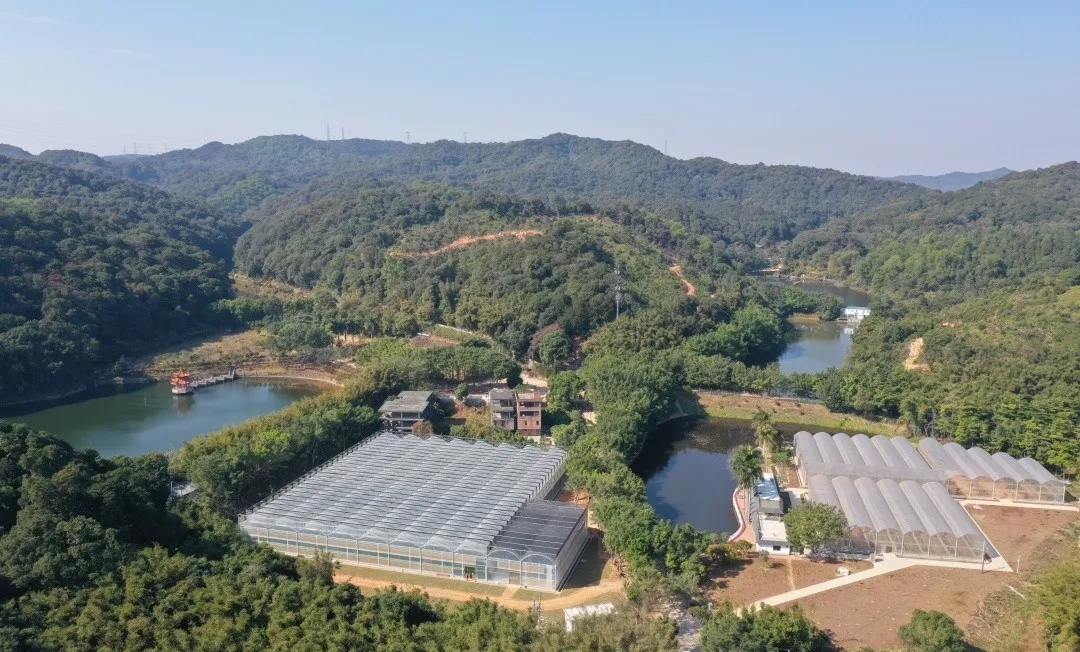 天鹿湖航新种子谷·现代农业公园丨中国广州丨PFS Studio(丛联景观)-9
