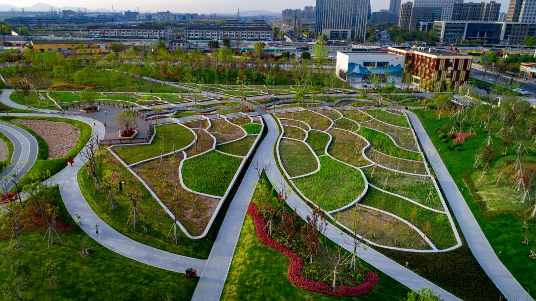 钱塘生态公园 | 海绵城市理念的绿色景观-16