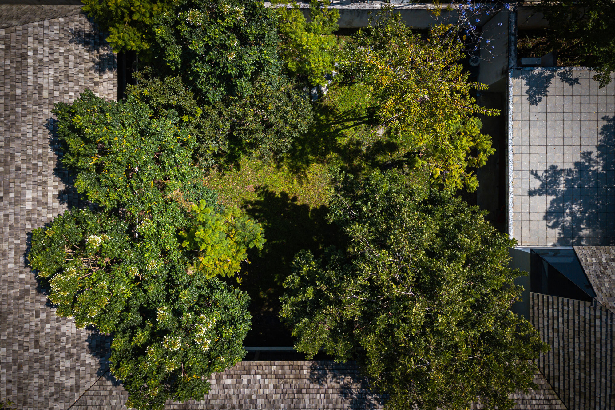 已见之屋丨泰国曼谷丨Studio Miti-34