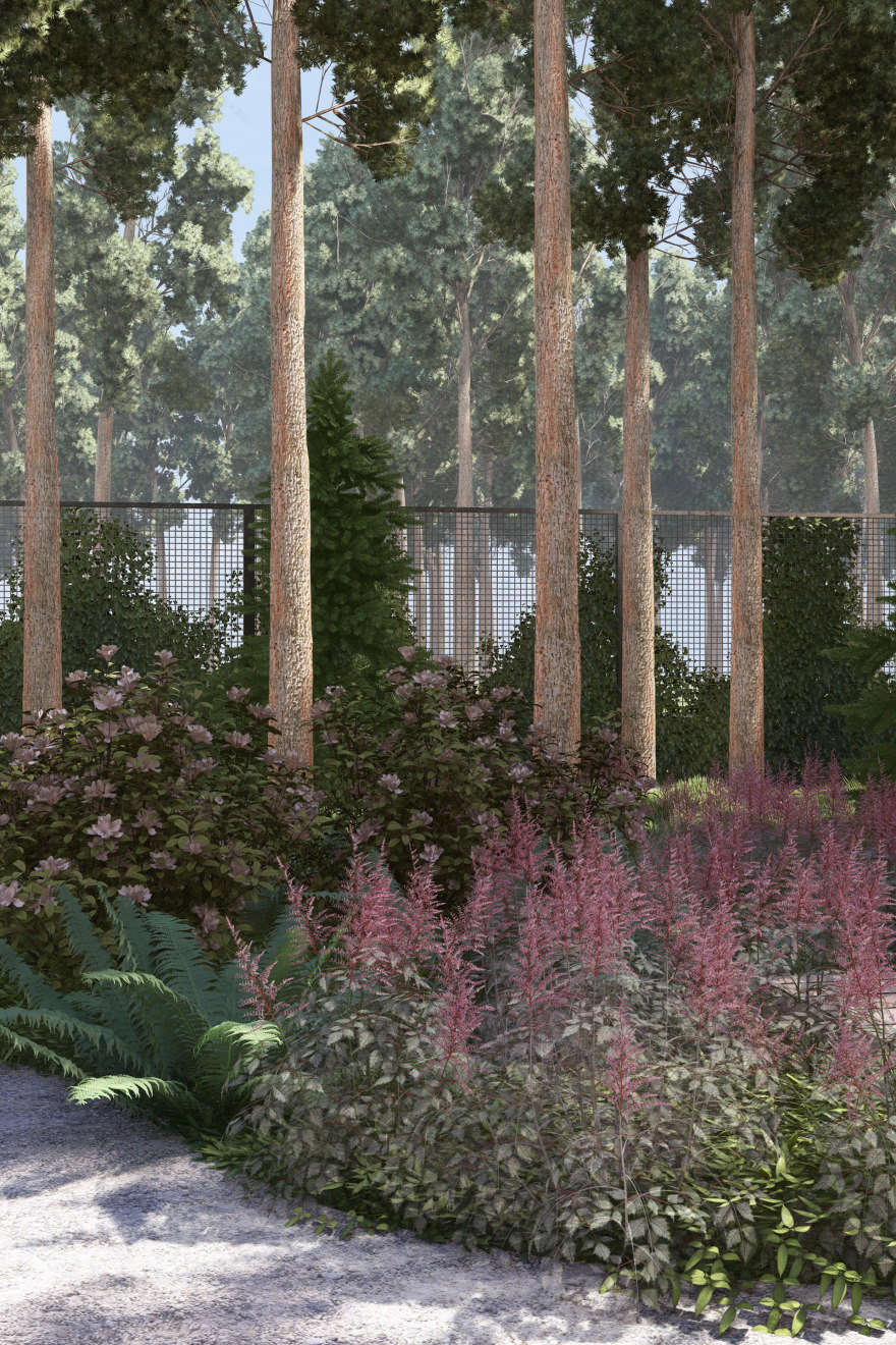 PRIVATE SITE LANDSCAPE | Pine Forest-8