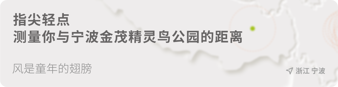 风是童年的翅膀丨宁波金茂精灵鸟公园-9