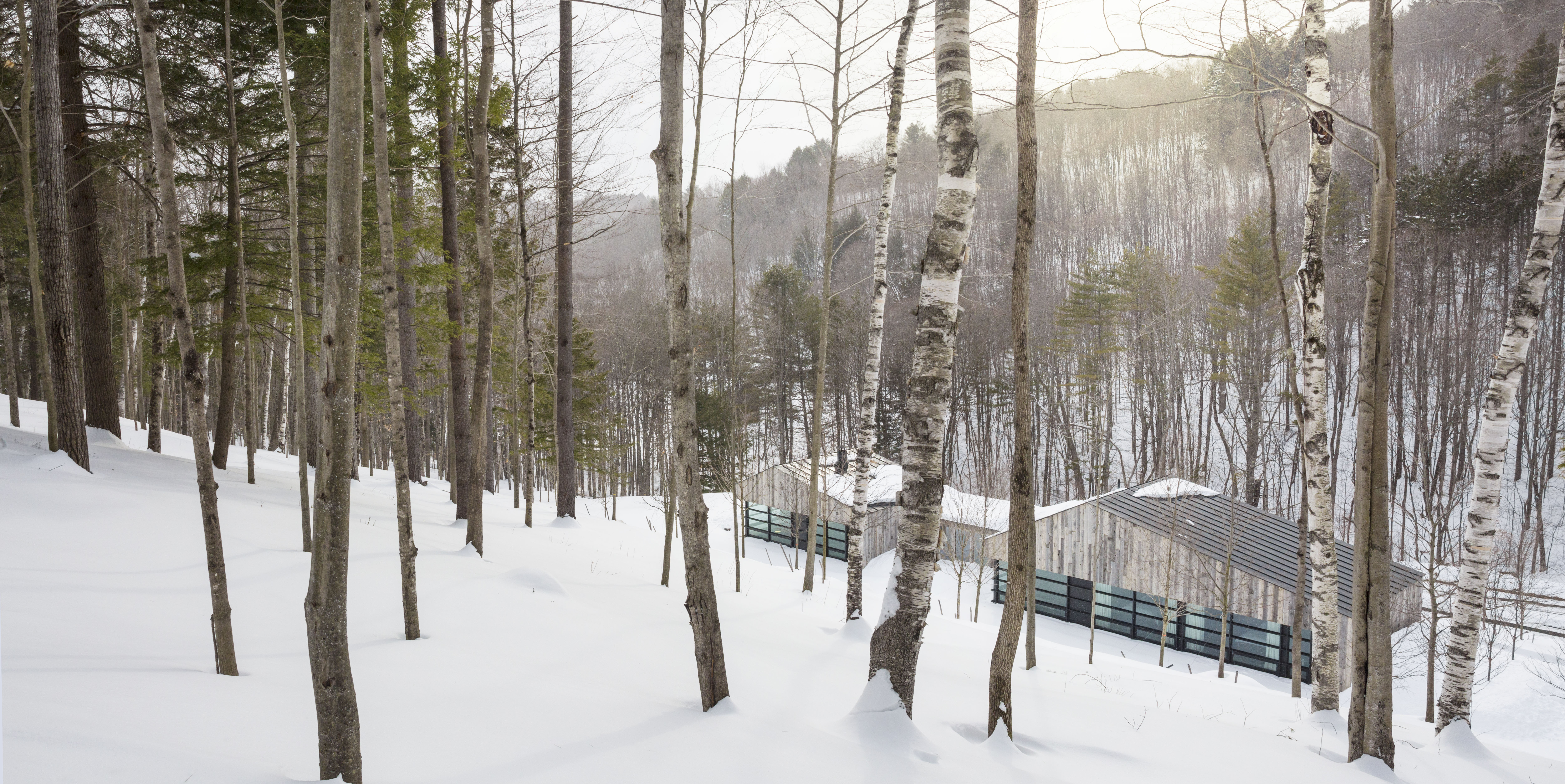 Woodshed | Birdseye-11