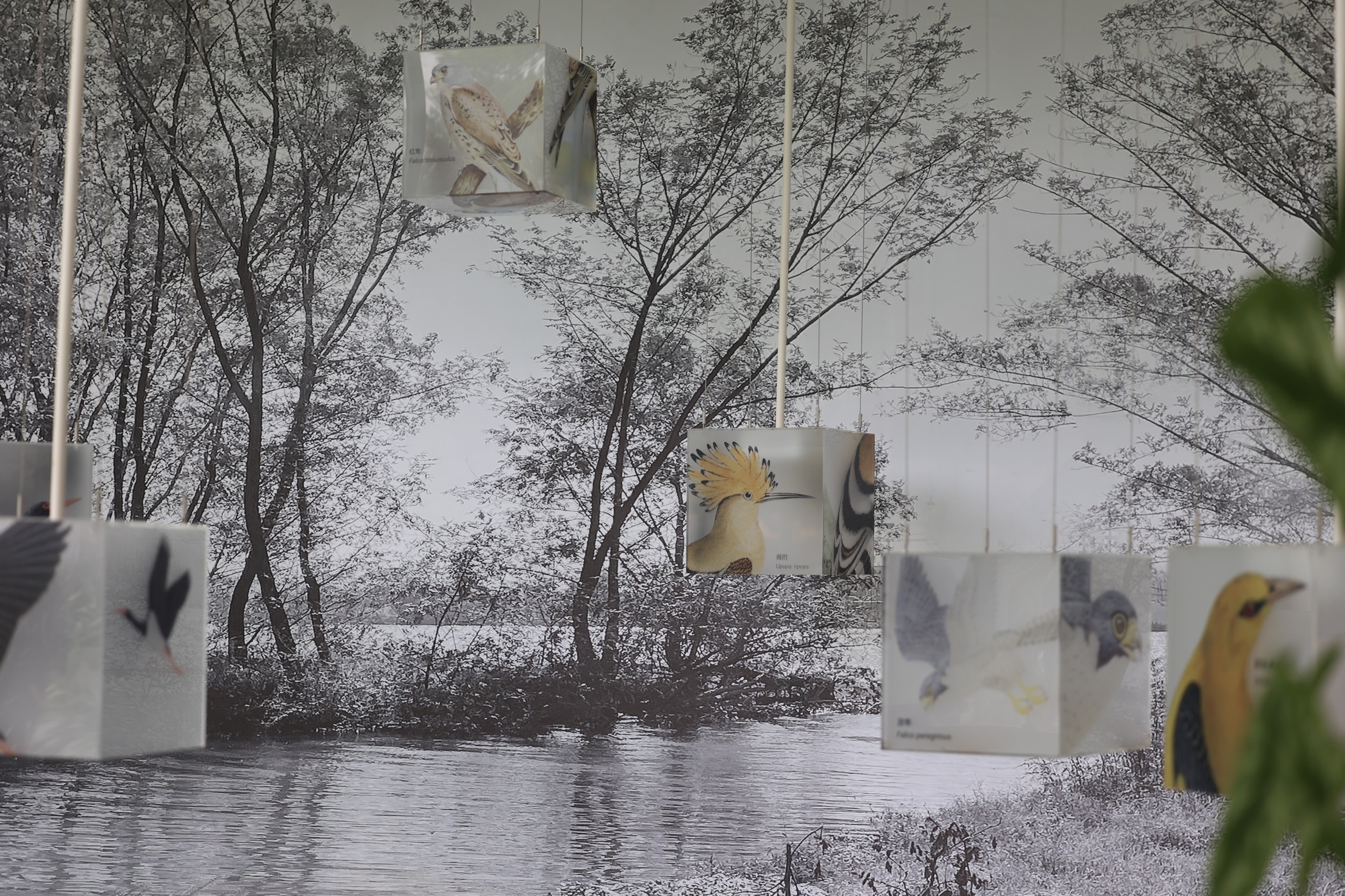 凤翔洲水文化公园丨中国衢州丨张唐景观-111