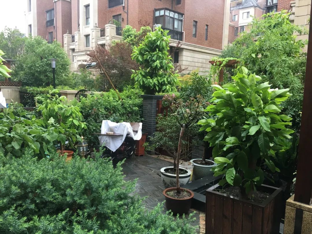 新中式家庭花园的优雅变身-26