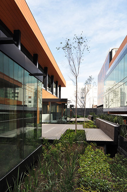 墨西哥城 Coyoacán 企业园区景观设计-20