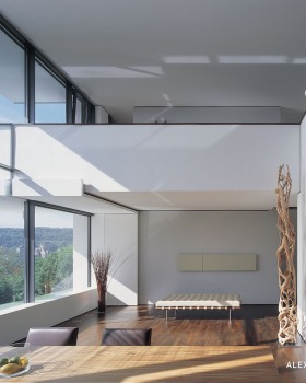 House Miki 1 Alexander Brenner Architects