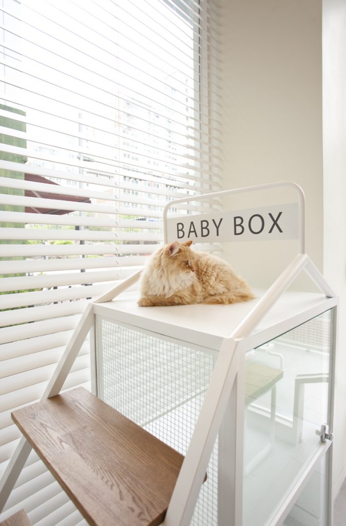 简约清新，展现专业水准的动物医院设计-13