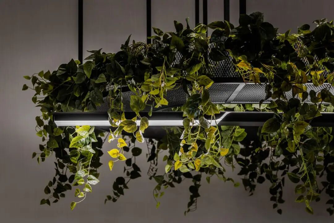 德国百年照明Trilu·波兰工厂配套办公空间设计丨Workplace设计团队-1