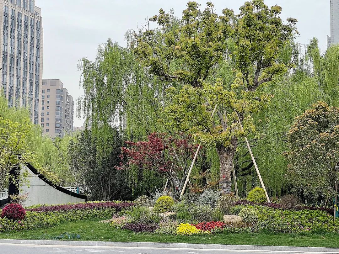 中国江南水乡文化博物馆(杭州市临平博物馆)丨中国杭州丨杭州滨江长河街道江虹路 735 号 1 幢-33