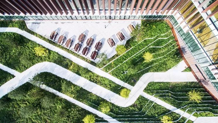 泰国Ramathibodi Healing Garden-54