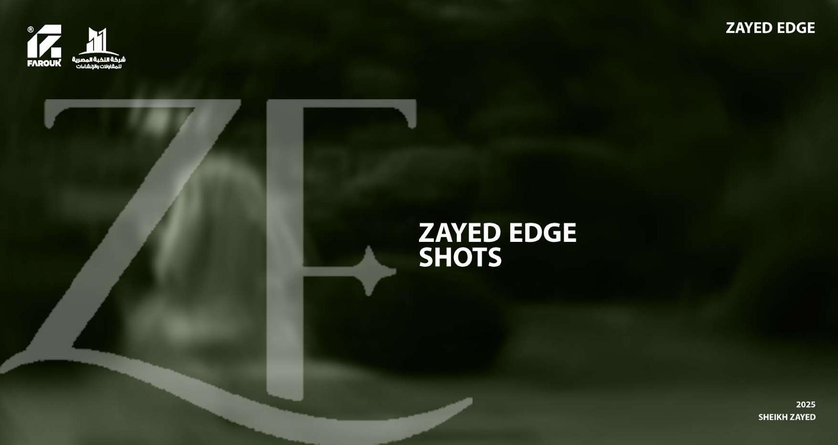 ZAYED EDGE 住宅建筑-24