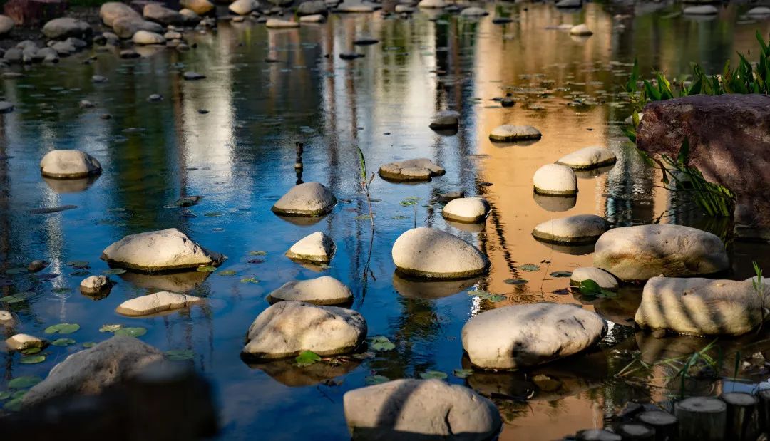 上海松江方松体育公园-47