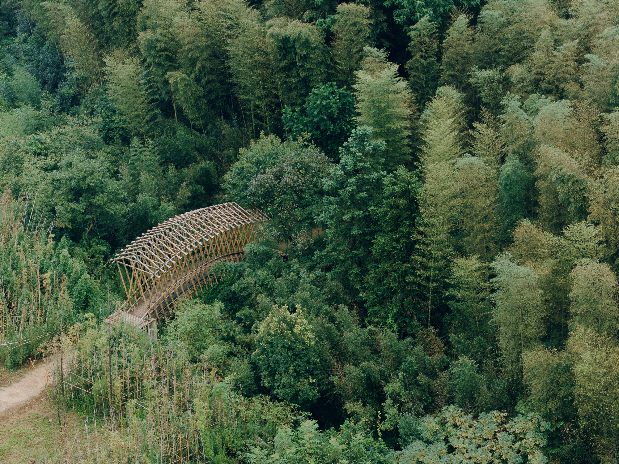 Qingshan village bamboo bridge-0