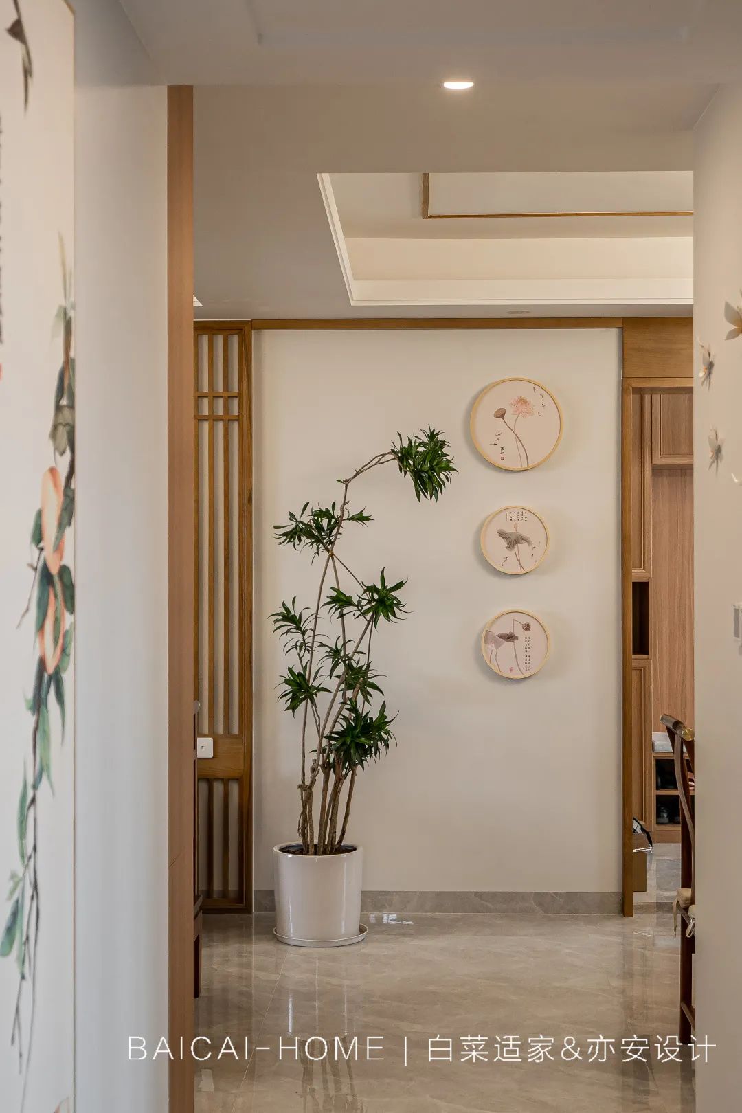 文瑾雅韵丨白菜适家-50