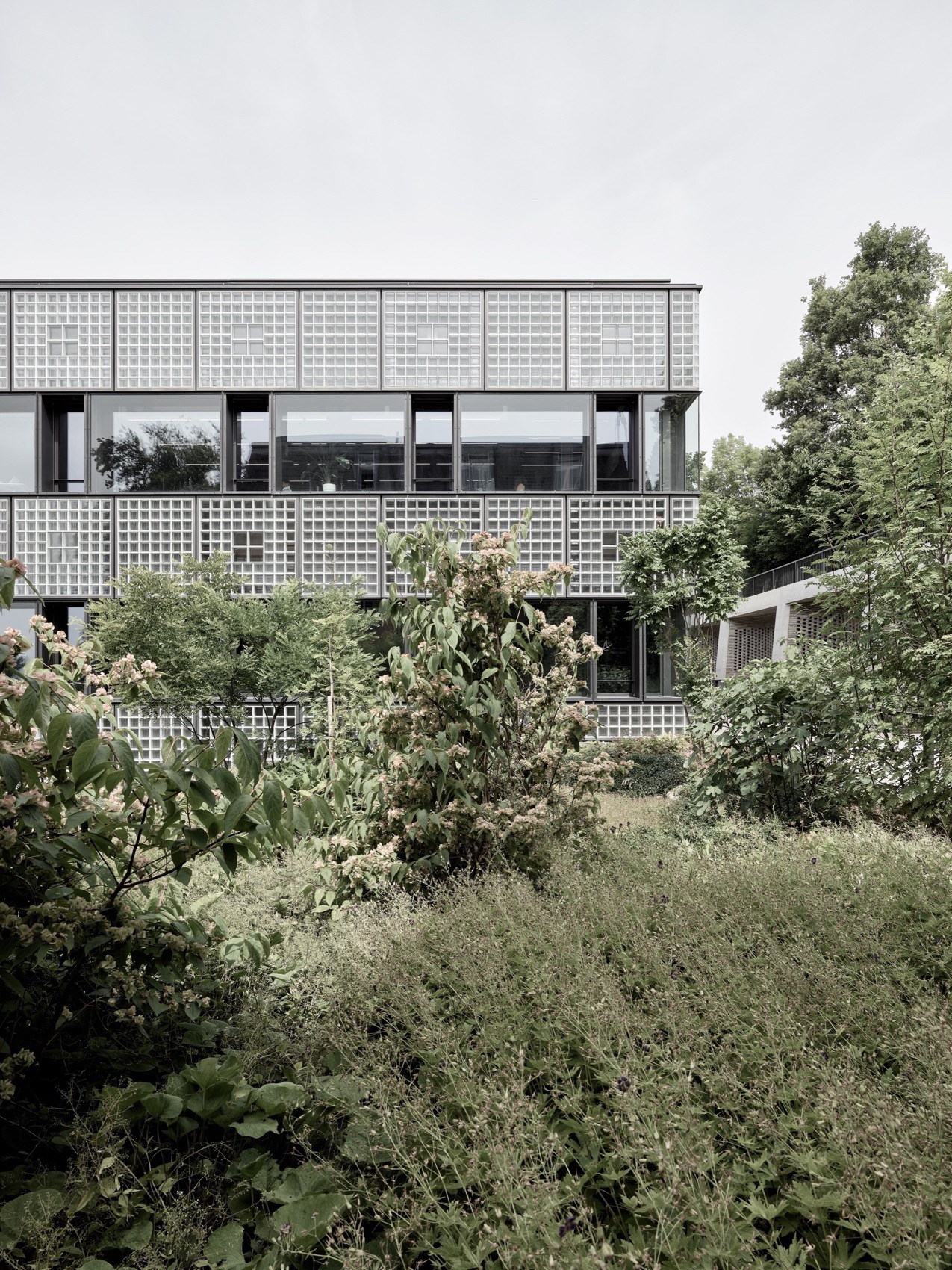 GLC 研究大楼丨瑞士苏黎世丨Boltshauser Architekten-184