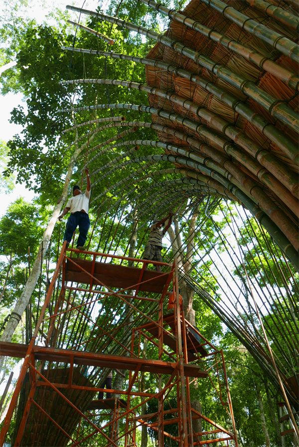 “Free the Bears”竹制新店丨老挝琅勃拉邦丨Atelier COLE-33