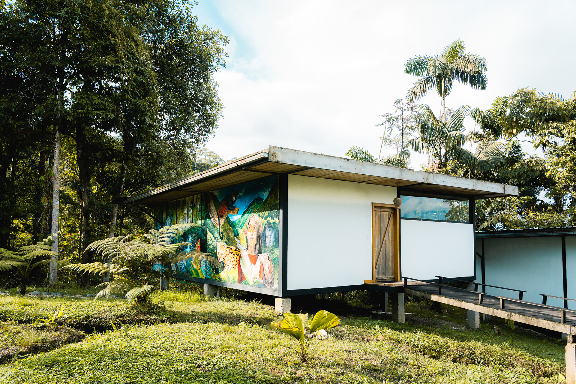 Cedro Amazon Lodge-12