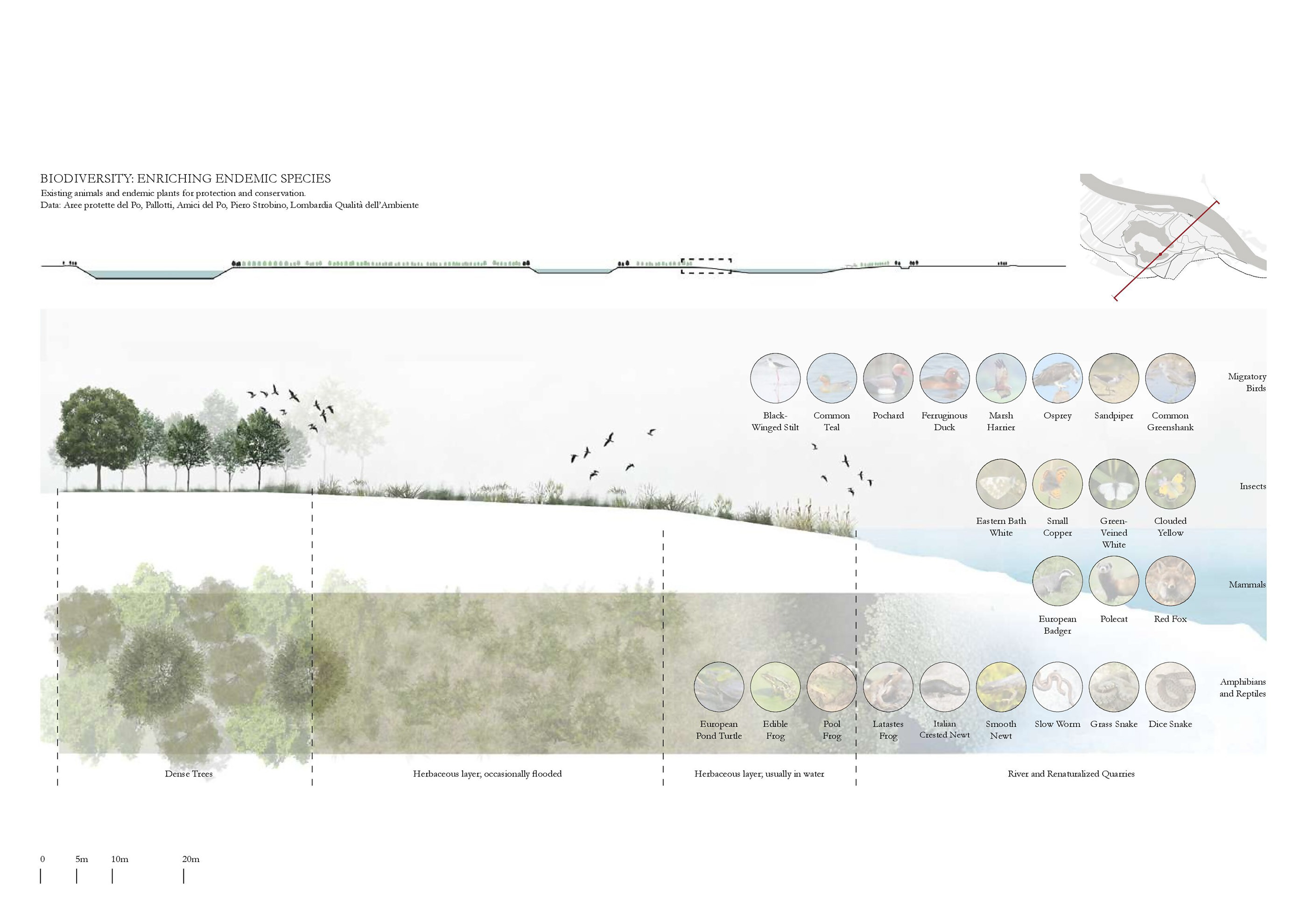Pre-Thesis Final Studio: Un Po Piu di Boschi-41