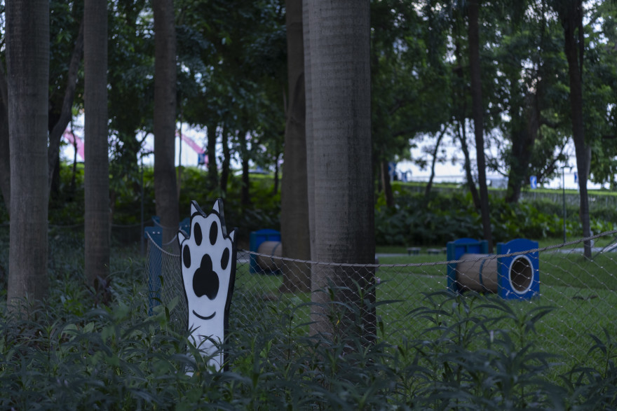 深圳市罗湖泥岗东路宠物友好口袋公园丨中国深圳丨深圳市未名设计顾问有限公司罗湖分公司(WMLA)-80