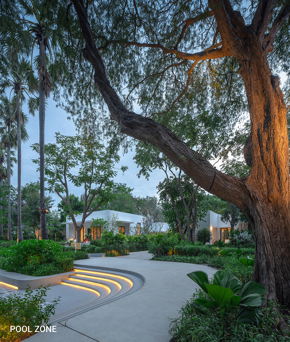 The Standard 度假区景观设计丨泰国丨Shma-60