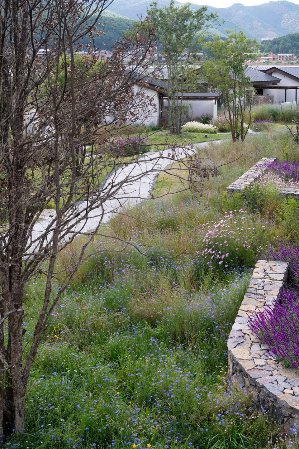 泸沽湖岚岳海子花园丨中国丽江丨Z’scape致舍景观（景观）,尚壹扬设计（建筑及室内）-169