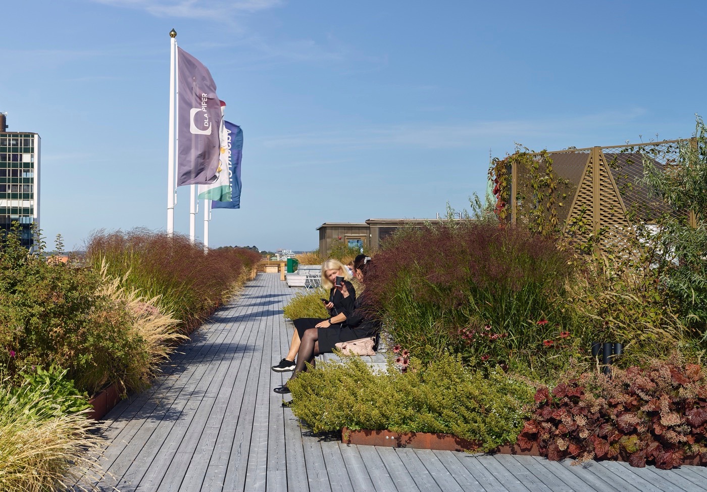 斯德哥尔摩绿色屋顶建筑塞尔格尔豪森丨瑞典斯德哥尔摩丨Karavan-12