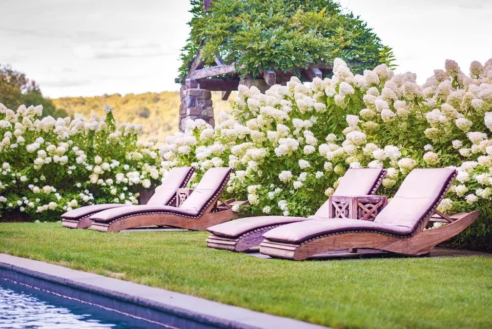 四月花海 | 迪拜奇迹花园的植栽设计-206