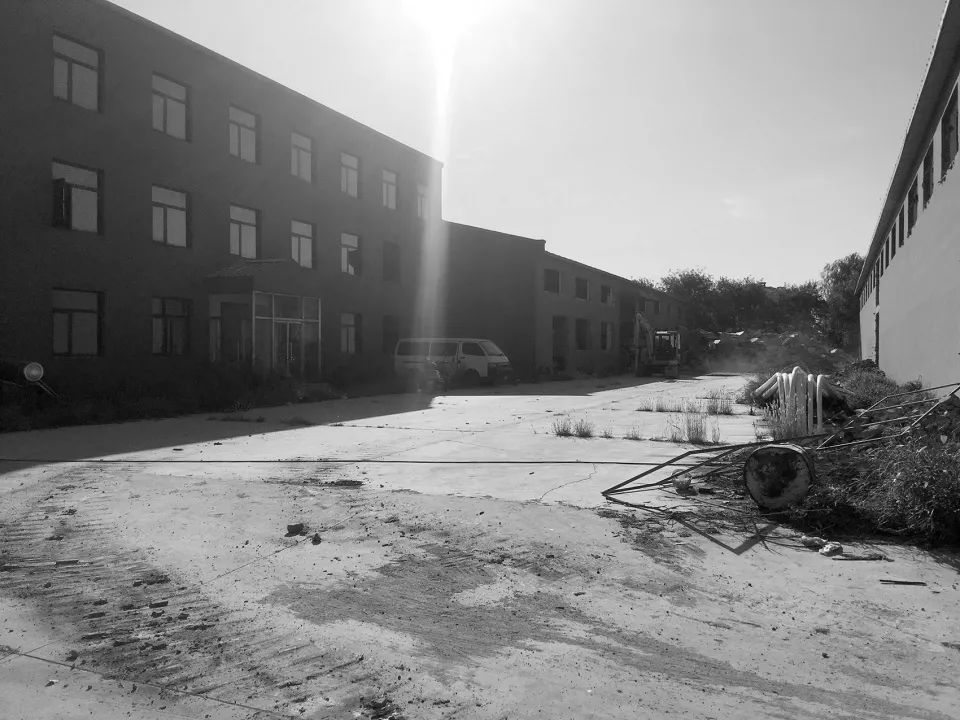 大料建筑新作首发 · 1座1万平米的“巨马”-18