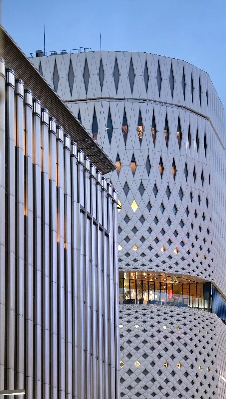 东京苹果旗舰店，现代与自然的和谐融合-5