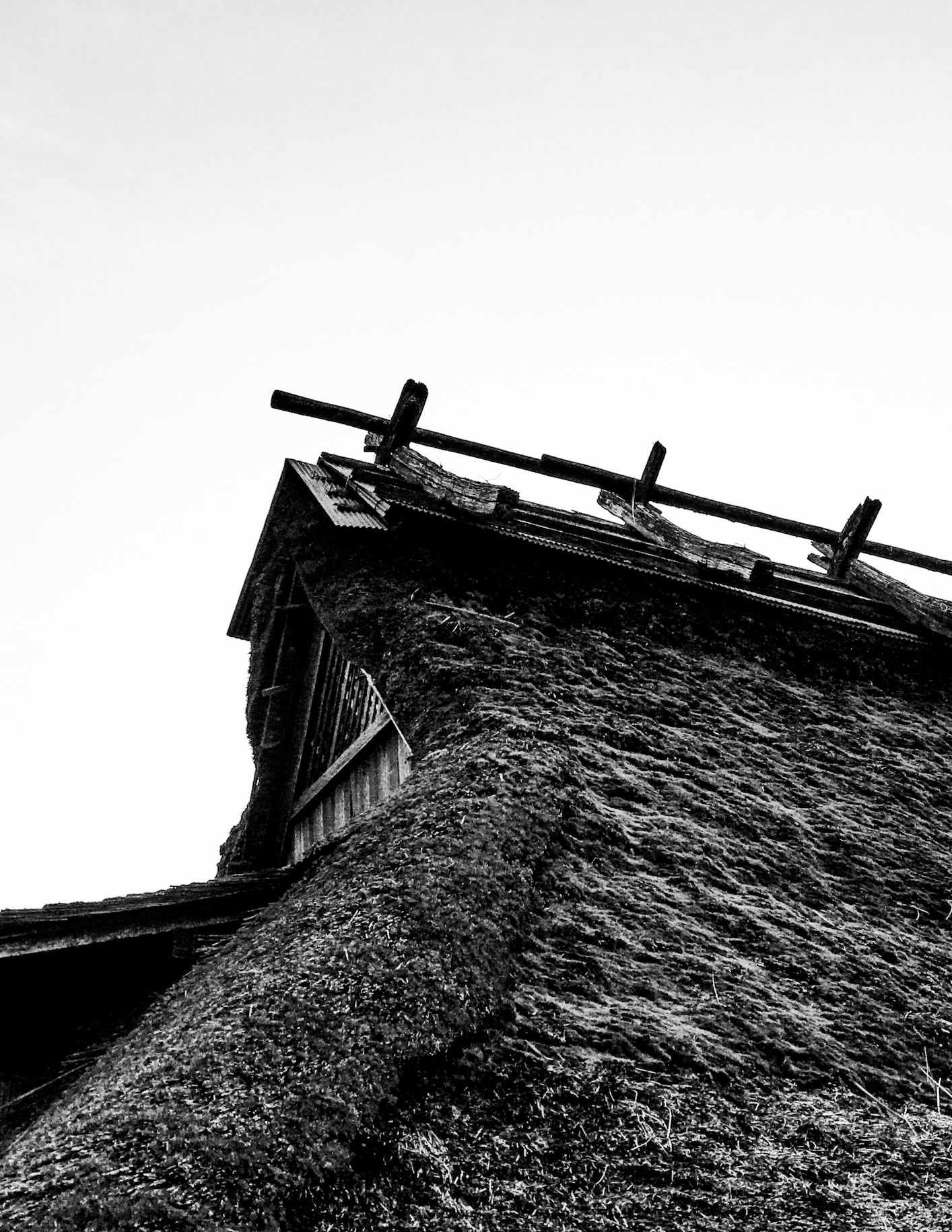 北海道 SHIGUCHI 画廊民宿丨日本丨Shouya Grigg-57