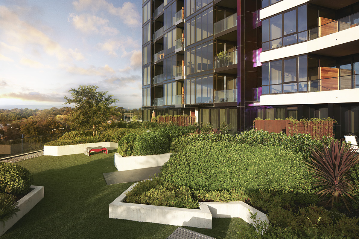 丨澳大利亚堪培拉-40