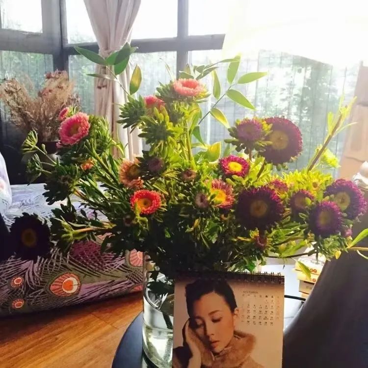 45岁殷桃的北京豪宅火出圈,院子里种满果树、鲜花,简直世外桃源。-18