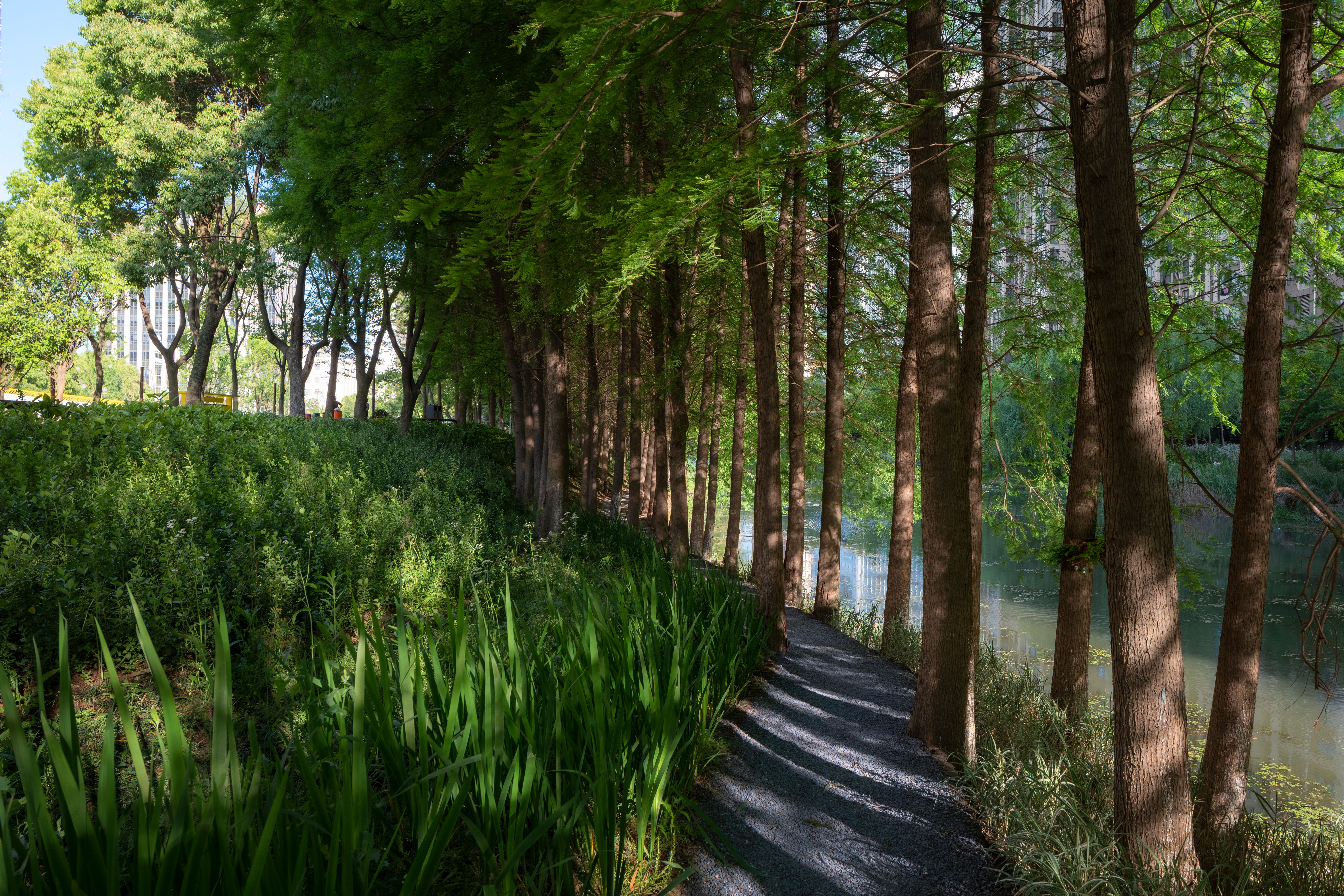 The Orchestra Park · SoBA（华宵丝竹滑板公园）丨中国江苏-29